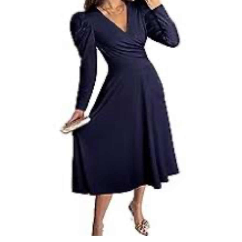 Pretty Garden Puff Long Sleeve Flare Dress NWT
